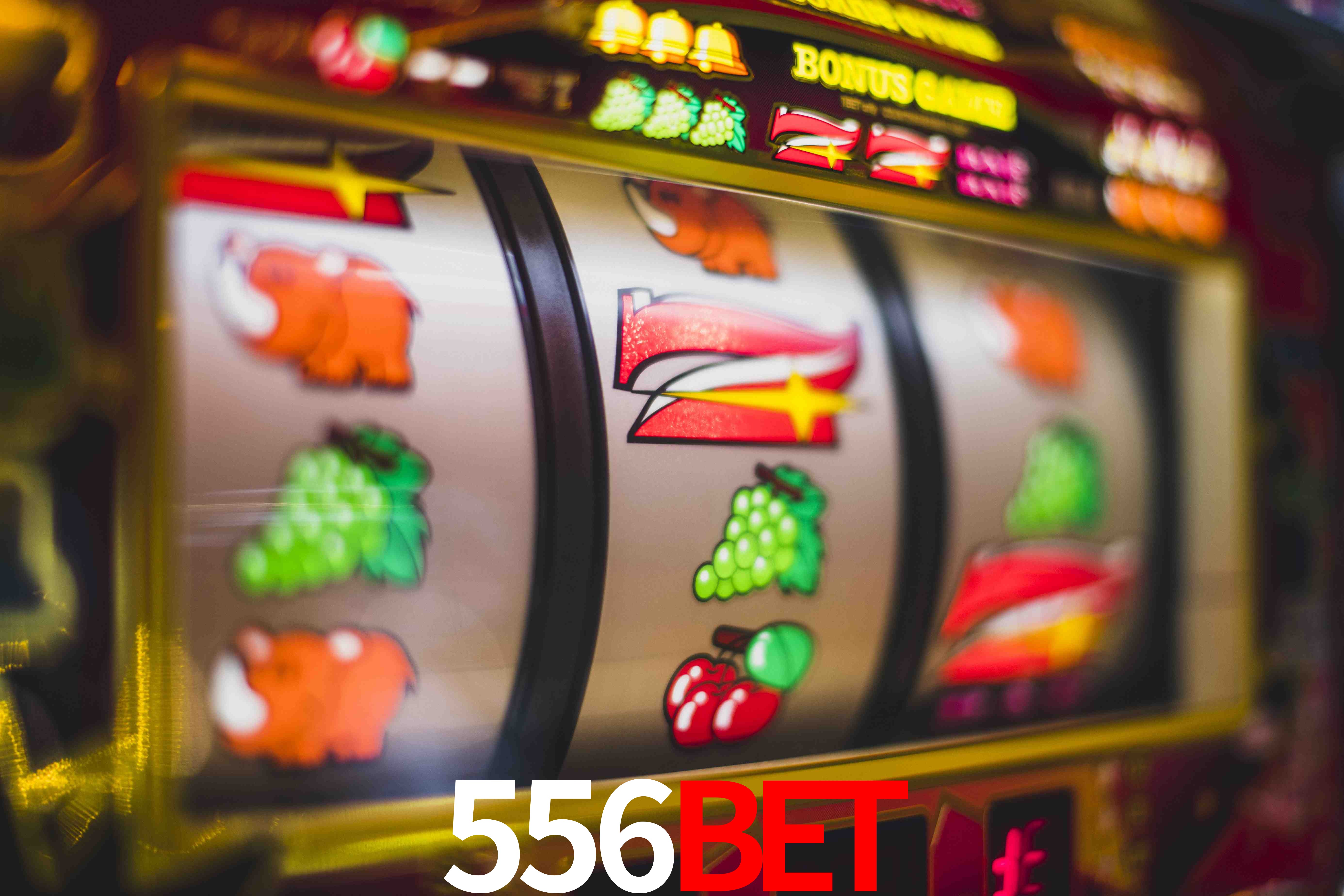 Basketball Betting 556BET
